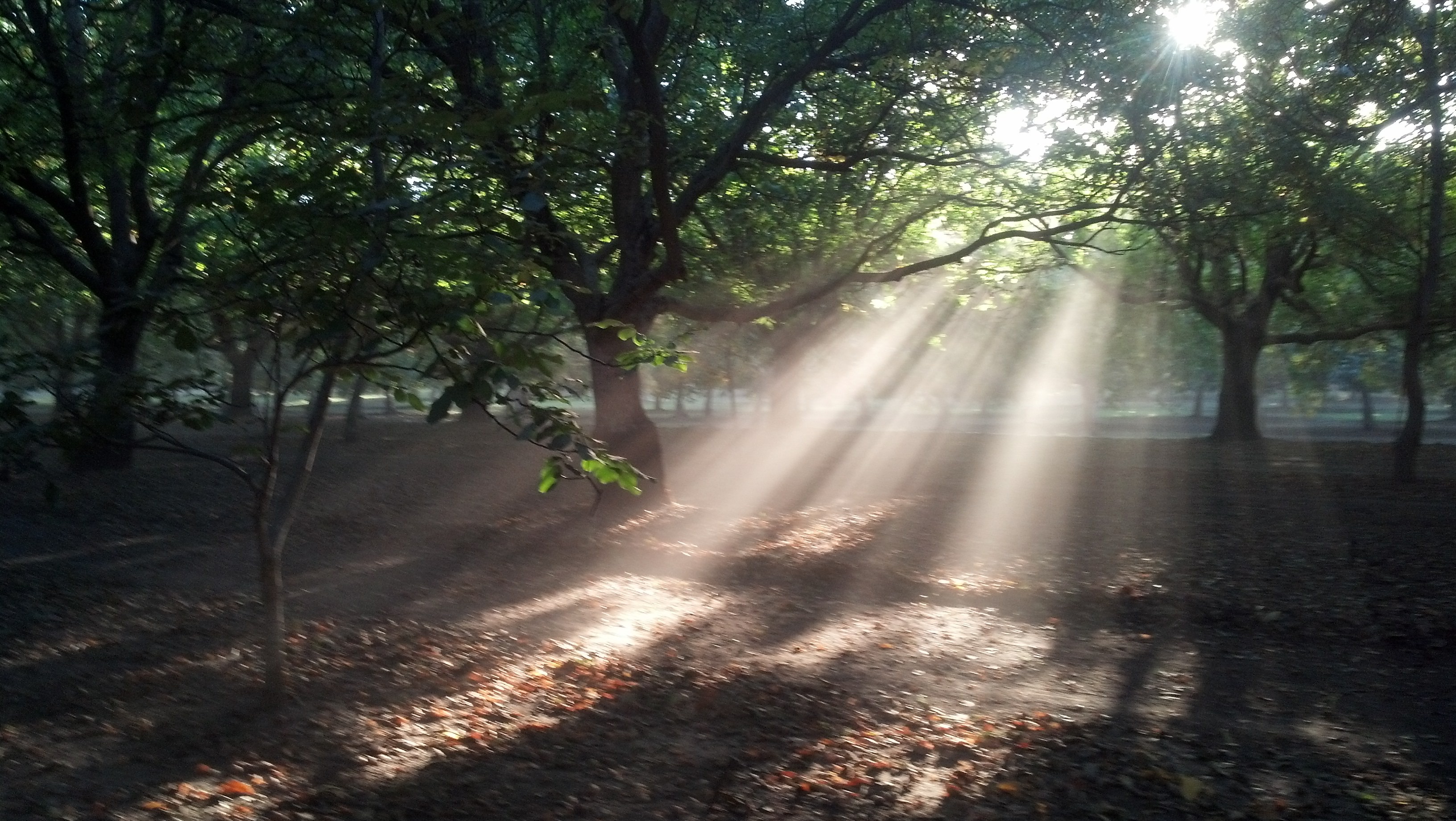 IMG_20131019_171504_884